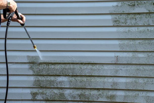 Best Siding Repair  in Fairbanks, AK