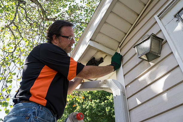 Best Stone Veneer Siding  in Fairbanks, AK